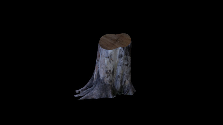 UE项目资源_模型资源_枯树枝094