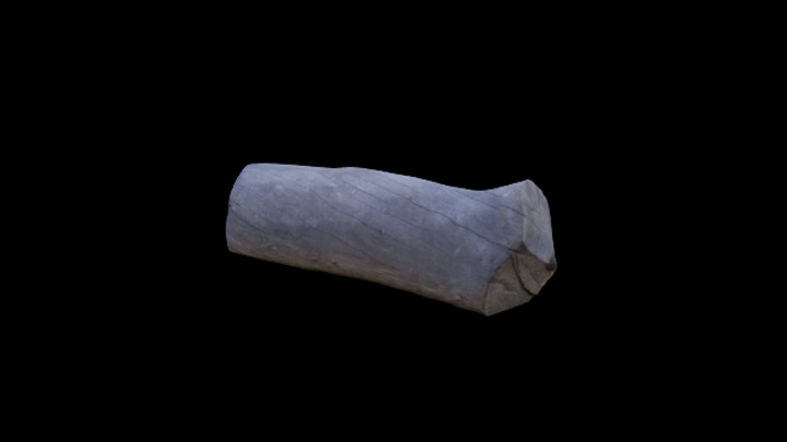 UE项目资源_模型资源_枯树枝108