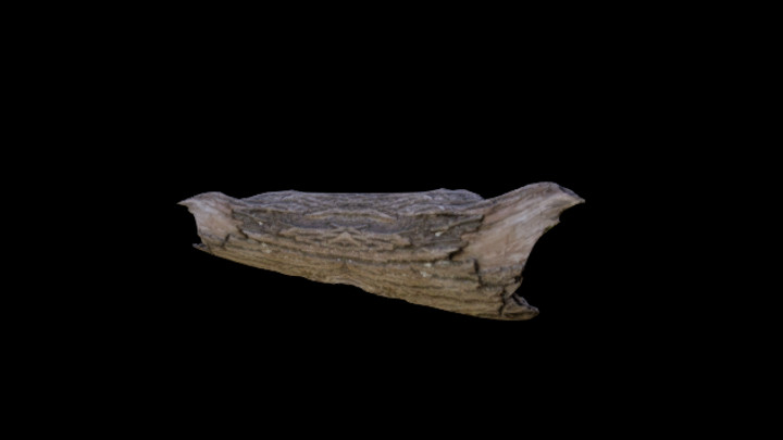 UE项目资源_模型资源_枯树枝116