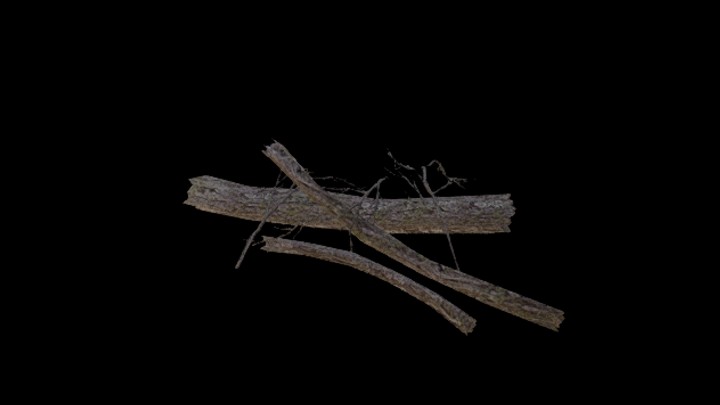 UE项目资源_模型资源_枯树枝120