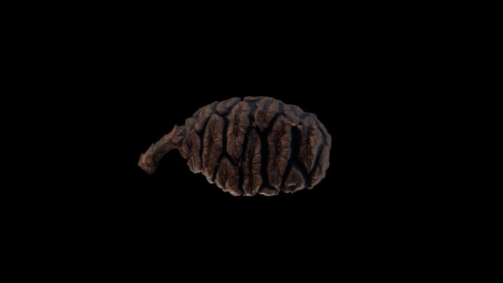 UE项目资源_模型资源_枯树枝129