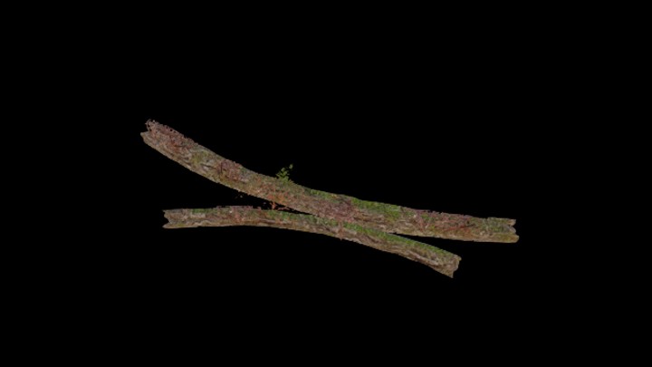 UE项目资源_模型资源_枯树枝140