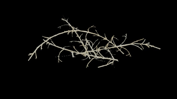 UE项目资源_模型资源_枯草006