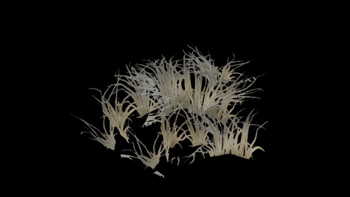 UE项目资源_模型资源_枯草009