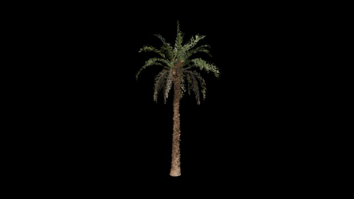 UE项目资源_模型资源_树1458