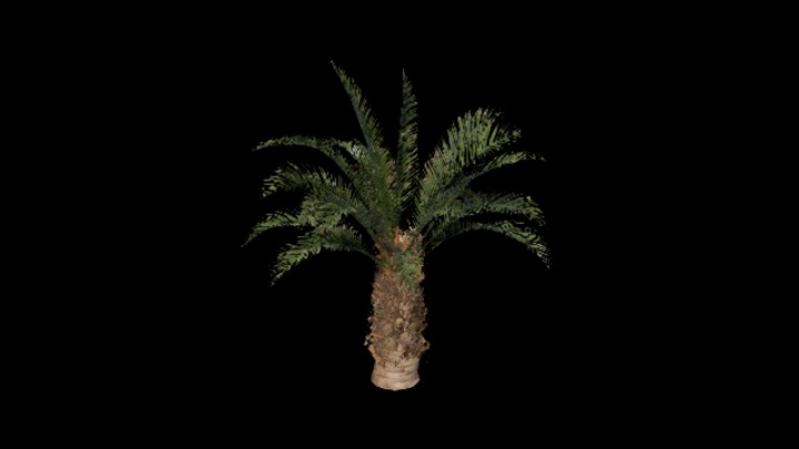 UE项目资源_模型资源_树1459