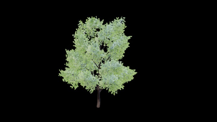 UE项目资源_模型资源_树1480