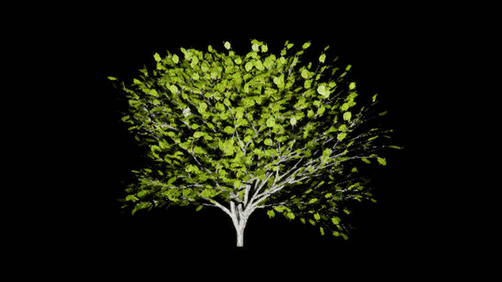 UE项目资源_模型资源_树1483