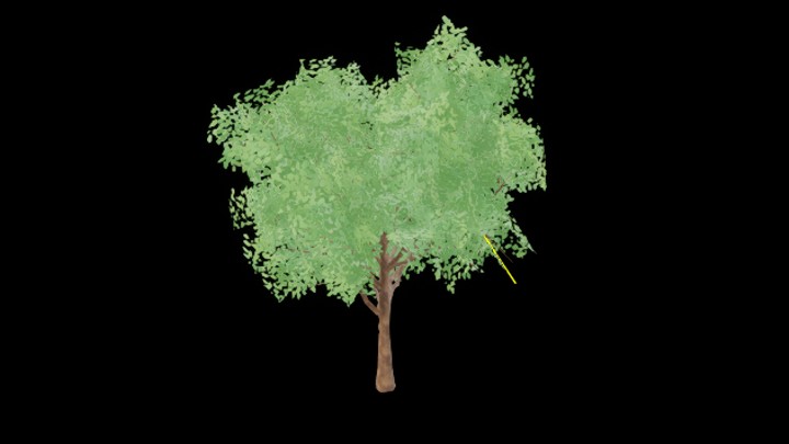 UE项目资源_模型资源_树1485