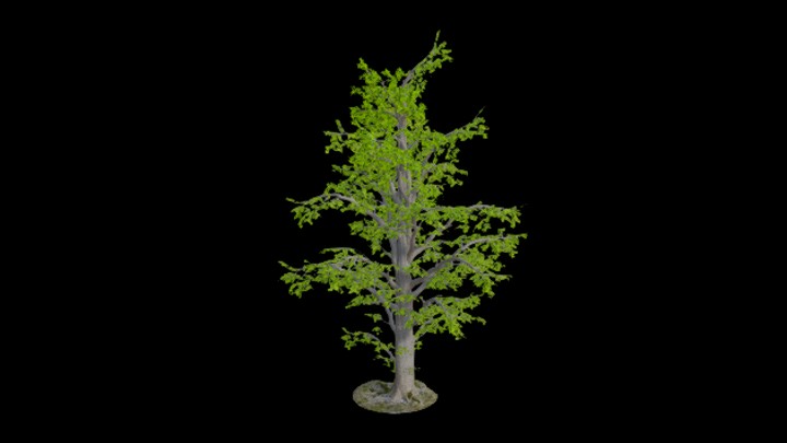 UE项目资源_模型资源_树1492