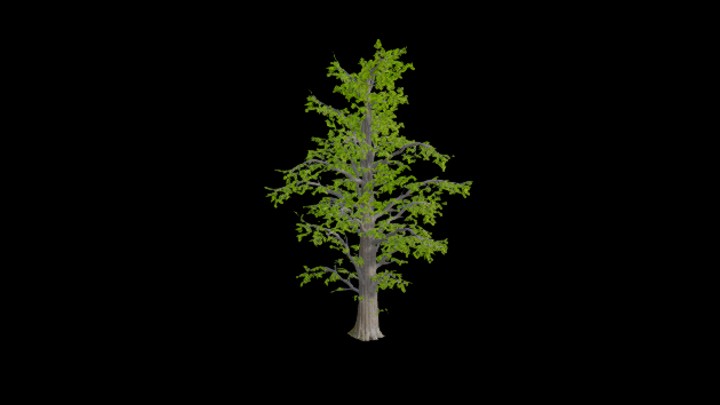 UE项目资源_模型资源_树1495