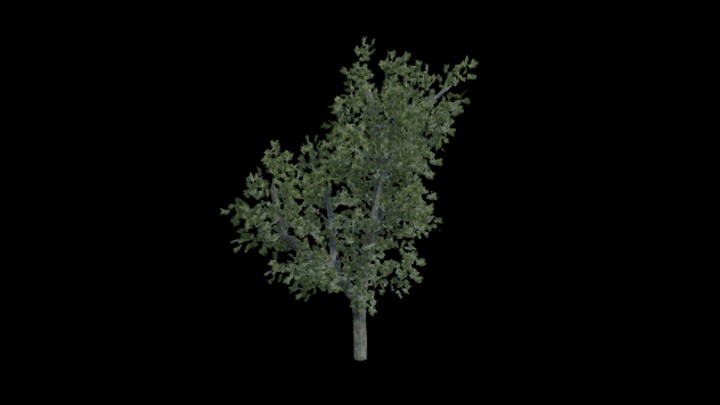 UE项目资源_模型资源_树1511