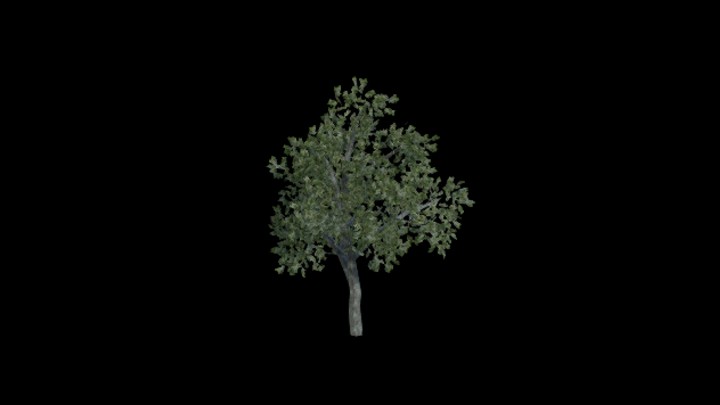 UE项目资源_模型资源_树1512