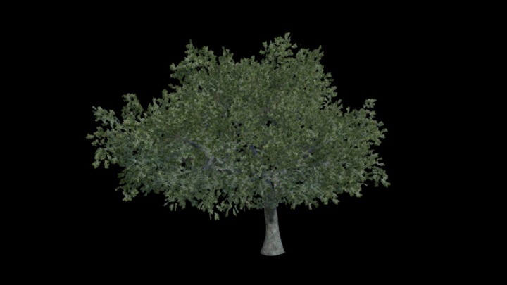 UE项目资源_模型资源_树1516