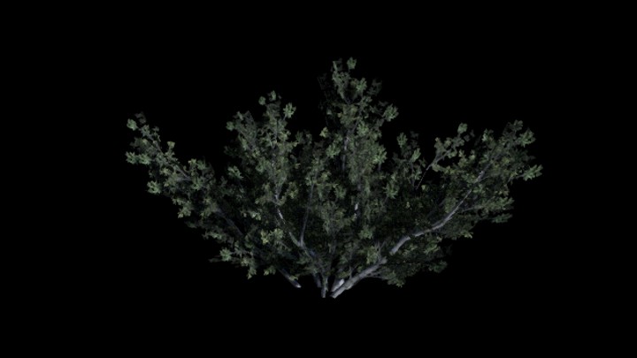 UE项目资源_模型资源_树1518