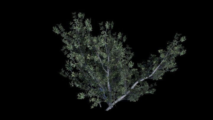 UE项目资源_模型资源_树1520