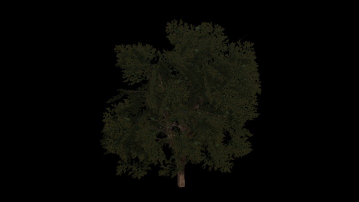 UE项目资源_模型资源_树1521