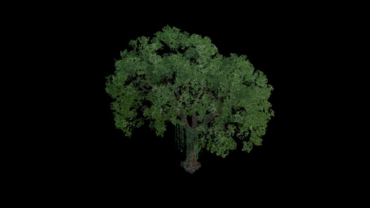 UE项目资源_模型资源_树1558