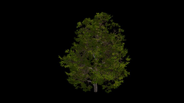 UE项目资源_模型资源_树1567