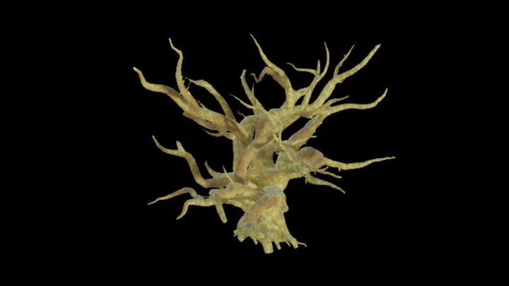 UE项目资源_模型资源_树1611