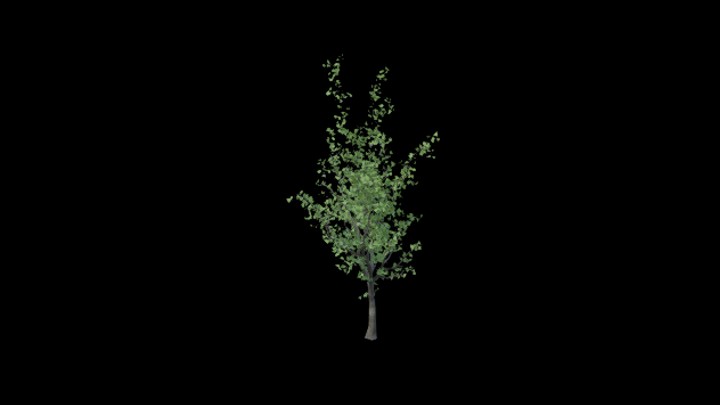 UE项目资源_模型资源_树1614