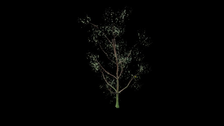 UE项目资源_模型资源_树1657