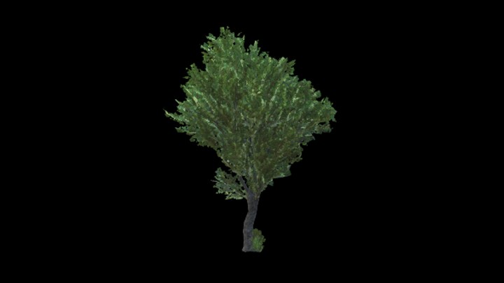 UE项目资源_模型资源_树1665