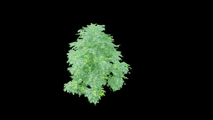 UE项目资源_模型资源_树1676