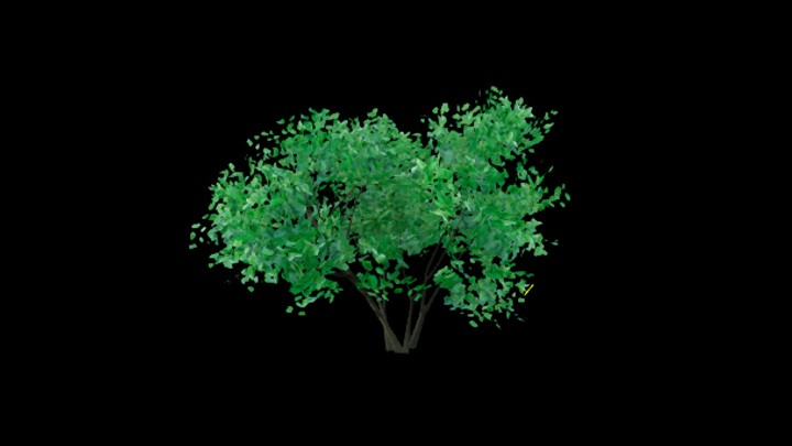 UE项目资源_模型资源_树1693