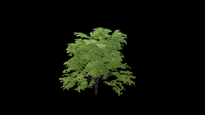 UE项目资源_模型资源_树1694