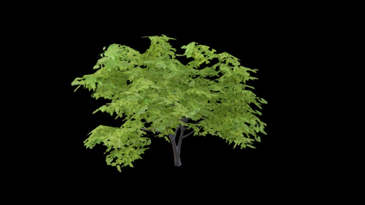 UE项目资源_模型资源_树1695