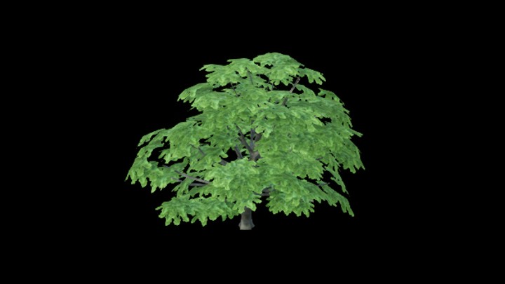 UE项目资源_模型资源_树1697