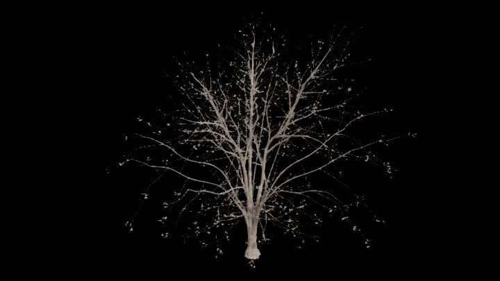 UE项目资源_模型资源_树1705