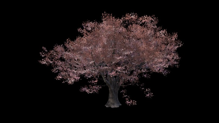 UE项目资源_模型资源_树1709