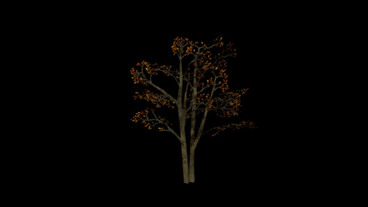 UE项目资源_模型资源_树1726