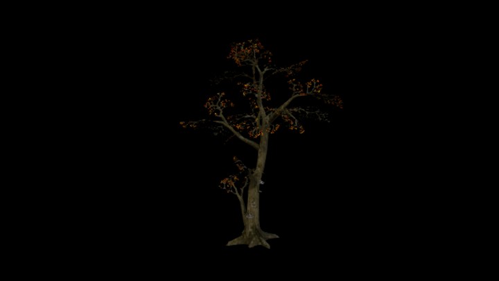 UE项目资源_模型资源_树1738