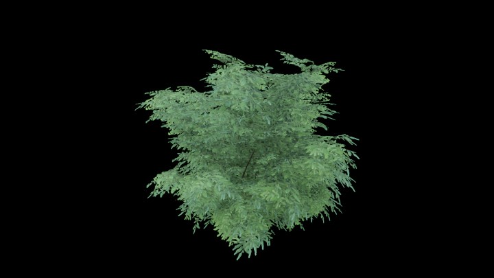 UE项目资源_模型资源_树1792