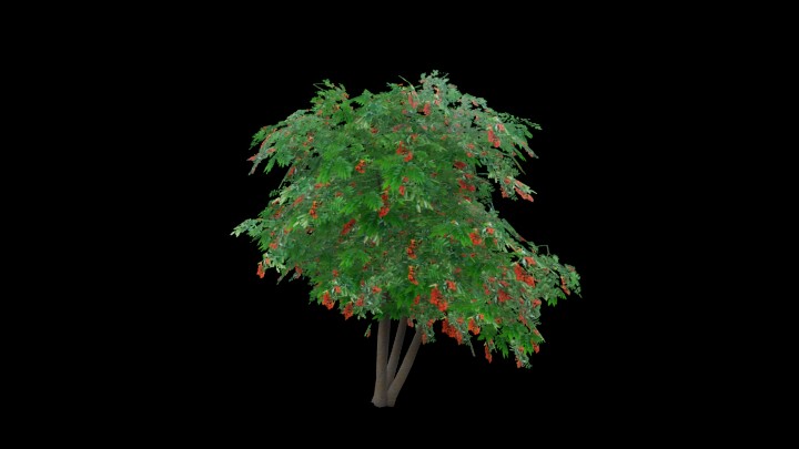 UE项目资源_模型资源_树1793