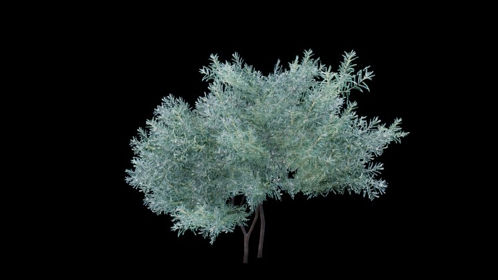 UE项目资源_模型资源_树1795