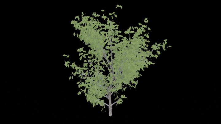 UE项目资源_模型资源_树1813