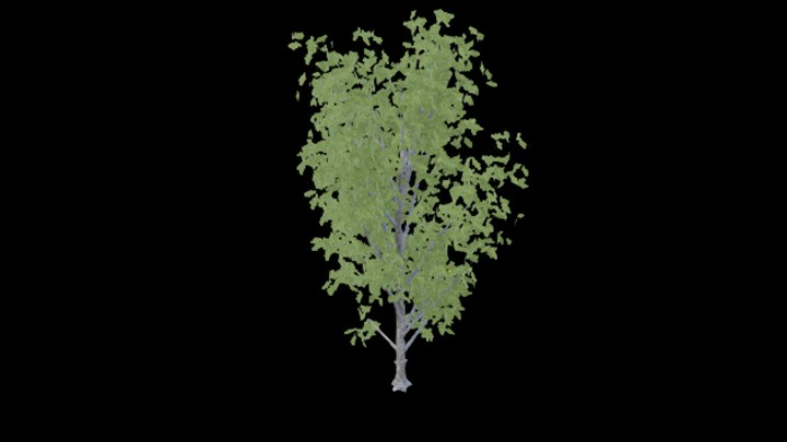 UE项目资源_模型资源_树1814