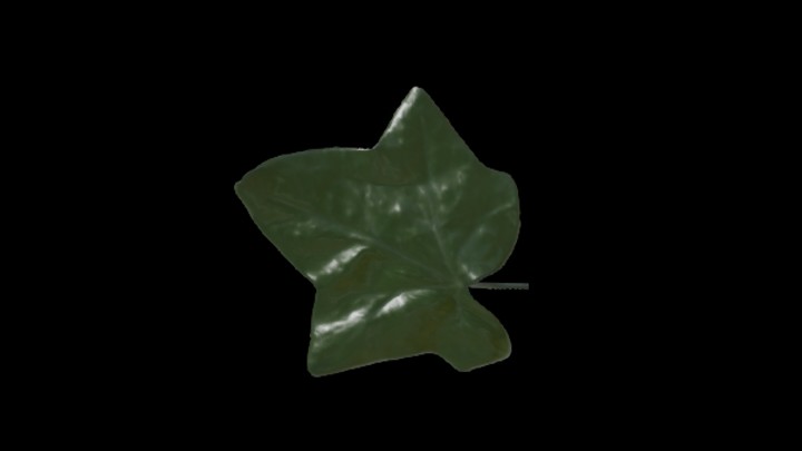 UE项目资源_模型资源_树叶074