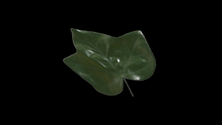 UE项目资源_模型资源_树叶076