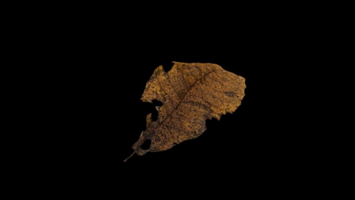 UE项目资源_模型资源_树叶083