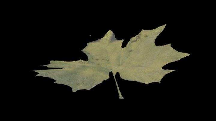 UE项目资源_模型资源_树叶102