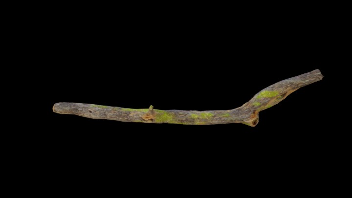 UE项目资源_模型资源_树干145