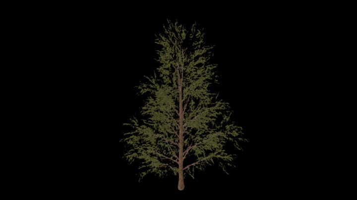 UE项目资源_模型资源_树木106