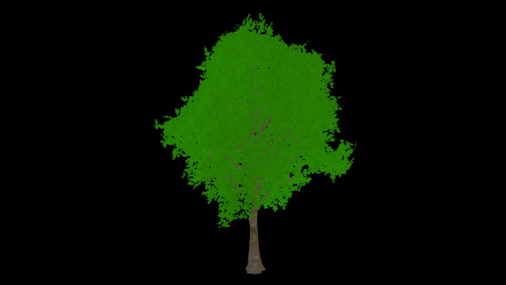 UE项目资源_模型资源_树木108