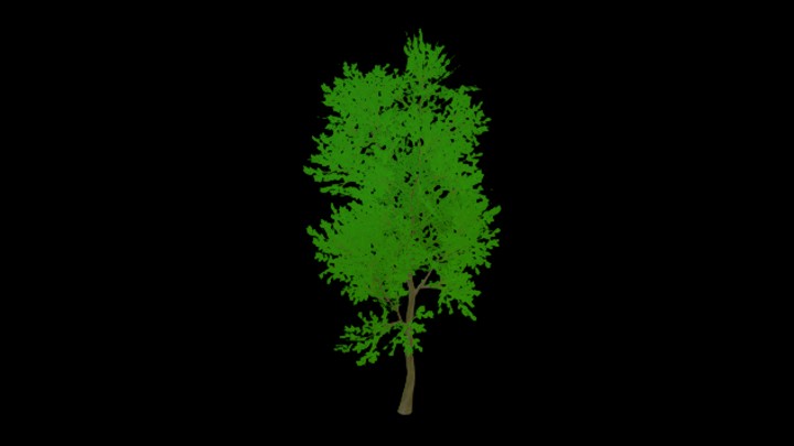 UE项目资源_模型资源_树木110