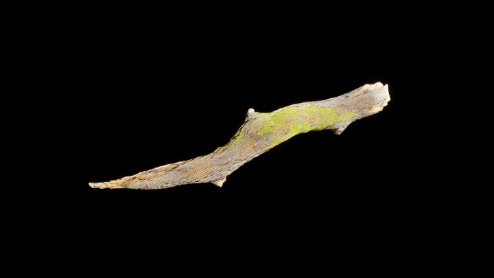 UE项目资源_模型资源_树枝182